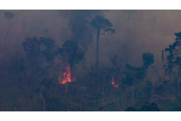 ブラジルの森林火災で試合が中断！「火が見える」衝撃映像がこれ 画像