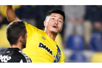 鈴木優磨、ベルギーで4点目！「勇敢なる渾身ヘッド」がこれ 画像