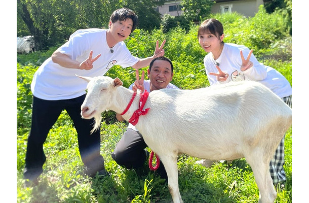 田中圭、ヤギのポポ、大悟、与田祐希（C）テレビ東京