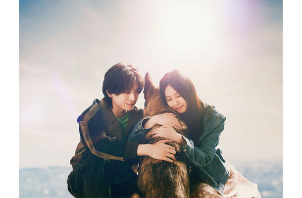 高橋文哉、西野七瀬「少年と犬」スーパーティザービジュアル（C）2025映画「少年と犬」製作委員会