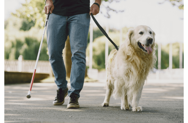 電車で…盲導犬と一緒に乗ろうとする男性。次の瞬間⇒「扉開きました」学生の【対応】に感動！！