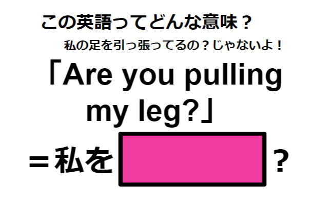 この英語ってどんな意味？「Are you pulling my leg? 」