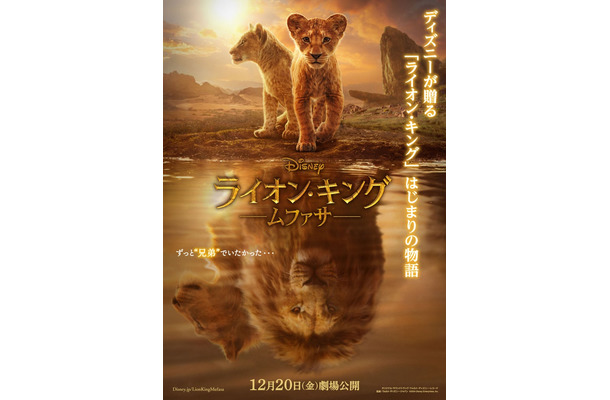 「ライオン・キング：ムファサ」ポスタービジュアル（C）2024 Disney Enterprises, Inc. All Rights Reserved.