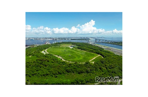 現在の海の森公園の全景