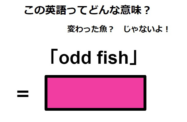 この英語ってどんな意味？「odd fish」