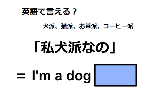 英語で「私犬派なの」はなんて言う？