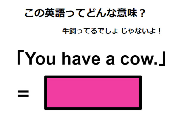 この英語ってどんな意味？「You have a cow. 」