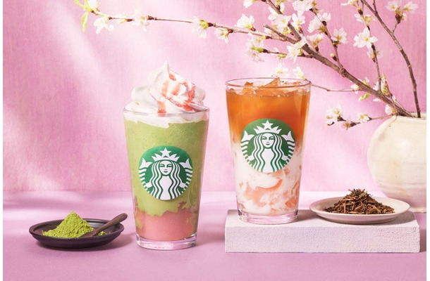 抹茶と桜わらびもち フラペチーノ、ほうじ茶&クラシックティーラテ 桜わらびもち入り／提供画像