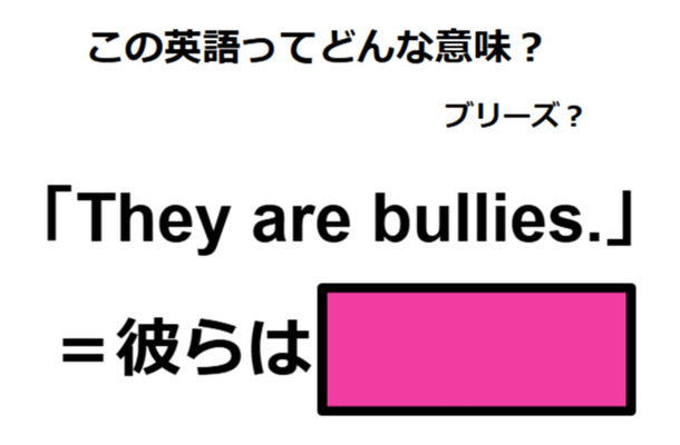 この英語ってどんな意味？「They are bullies. 」