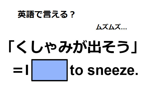 英語で「くしゃみが出そう」はなんて言う？