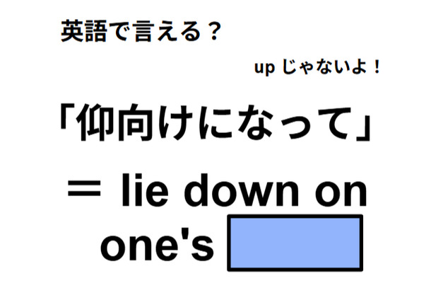 英語で「仰向けになって」はなんて言う？