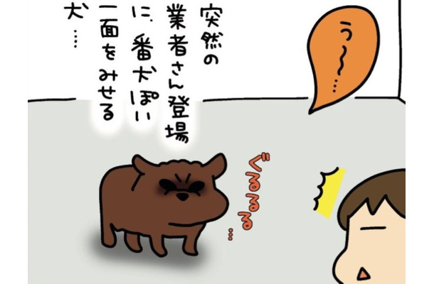 我が家の犬は、まるで「イキってる中学生」狂犬と見せかけて、実際は…【うちはおっぺけ 3姉妹といっしょ 10 #１】