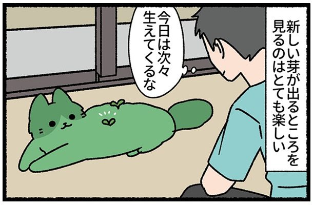 背中に次々と新芽が生えてくる！ 見るのが楽しくて、猫を観察してみたら？【ねこもんすたー スリスリ＃11】