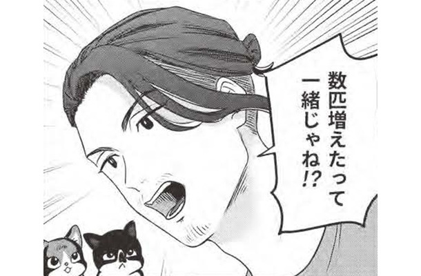 殺処分の猫を引き取りに？…猫愛が溢れすぎの男の運命に何が？【借金1000万作曲家の人生を変えてくれた猫の話 #６】