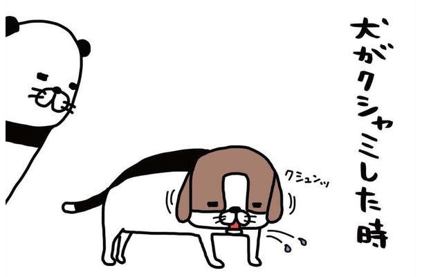 ジャーキーを食べる愛犬がかわいい思わず口に近づいてみると…【パンダと犬 ＃６】