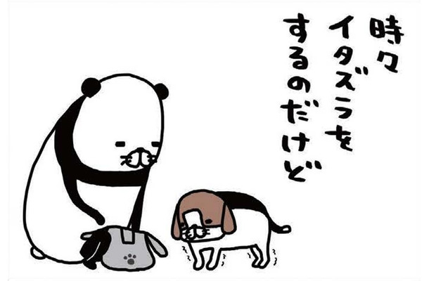 老犬・梅吉がヨボヨボしてイタズラをしに来る…スピードの遅さが逆にかわいい【パンダと犬 ＃32】