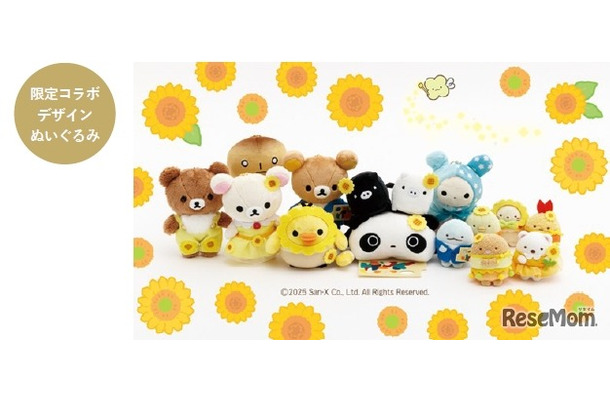 大阪市立美術館「ゴッホ展×サンエックス」限定ぬいぐるみ販売　万博開催＆美術館リニューアル記念
