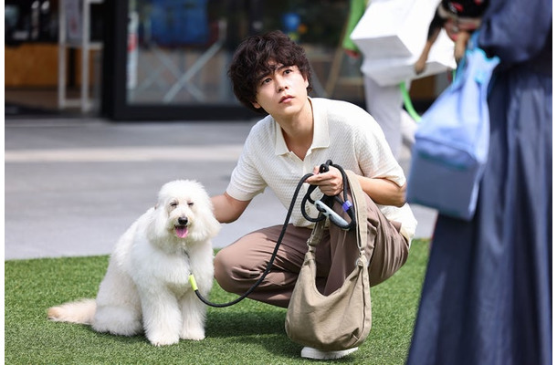 成田凌「初恋DOGs」（C）TBS
