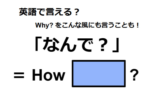 英語で「なんで？」はなんて言う？