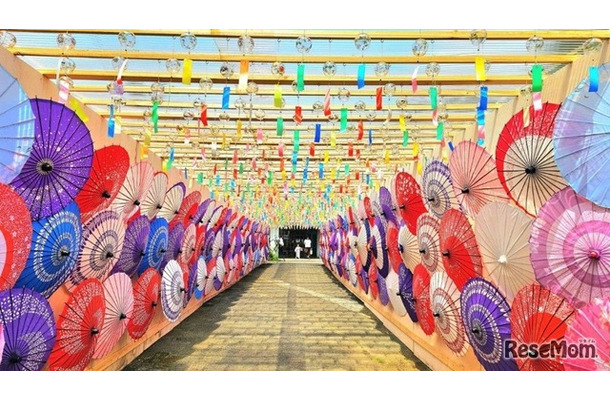 「風鈴まつり」の約6,000個の風鈴と、「和傘物語」の約400本の和傘の共演