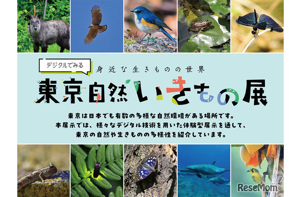 デジタルでみる東京自然いきもの展