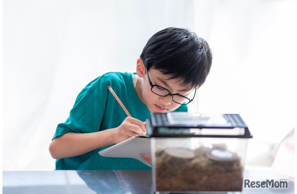 いこーよユーザーアンケートをもとに子どもの自由研究について調査・分析