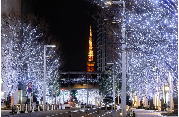 けやき坂イルミネーション(提供写真)