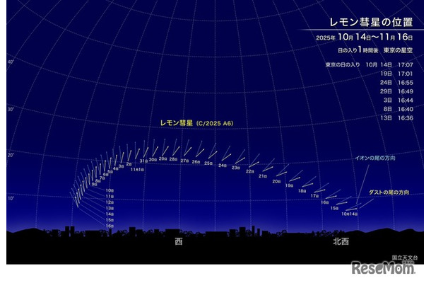 レモン彗星の位置（2025年10月14日～11月16日）東京の星空