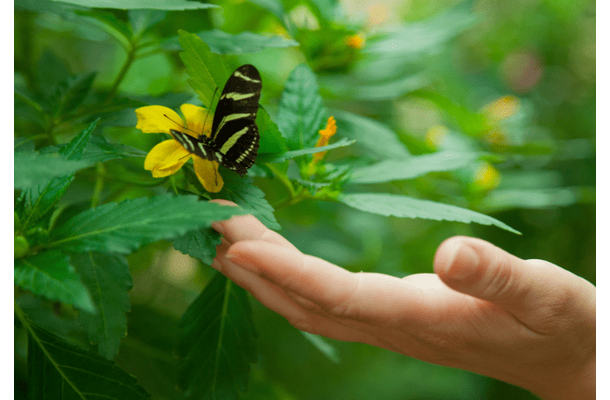 虫が大の苦手な私 洗濯物も外に干せなかったが⇒出産を機に「自分でもびっくり」