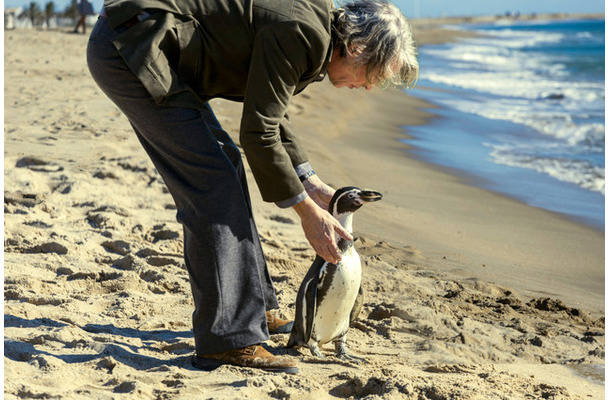 『ペンギン・レッスン』