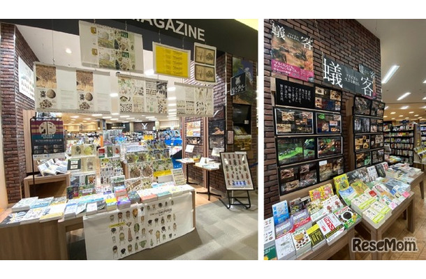 未来屋書店 北戸田店 2025年12月5日リニューアルオープン