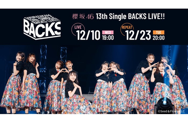 櫻坂46「13th Single BACKS LIVE！！」（提供写真）