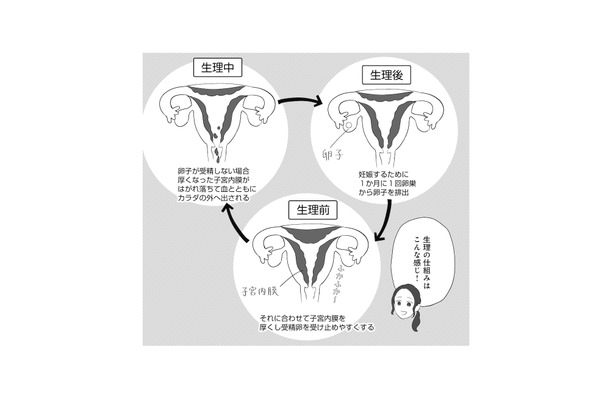 月経痛と過多月経の緩和に効果的なピル。10代でピルを服用するメリットは?【産婦人科医に聞く わたしとカラダの選択肢 #9】