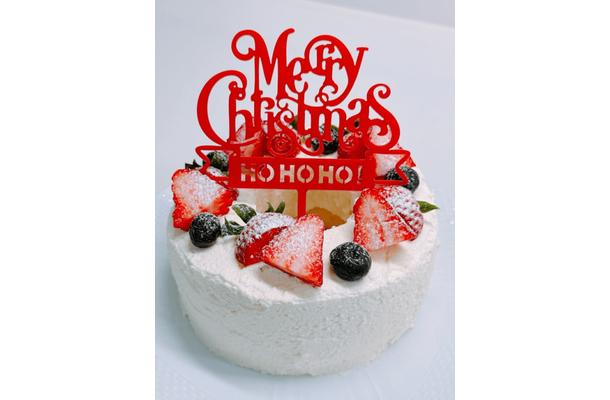 渡辺美奈代、DAISOの型で手作りクリスマスケーキ！完成度に称賛の声「綺麗で可愛い」「お店のよう」