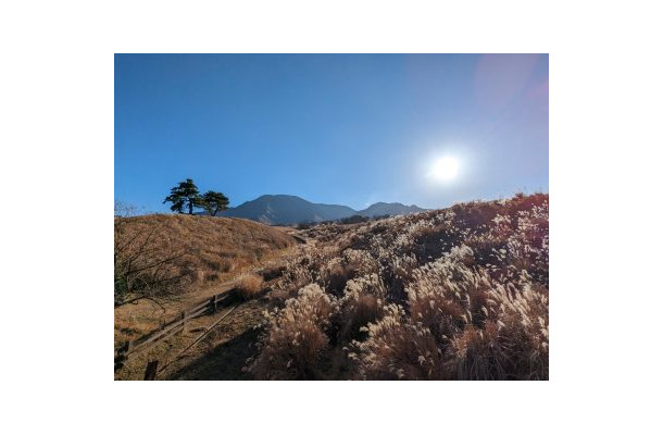 ウイルスや寒さの影響で体調を崩しがちな「冬至」の時季、「意外な３つの海鮮」を食べるべし？１つは赤くて２つは白くて