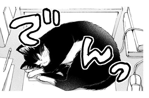 猫と同居しはじめたミステリー作家の青年。パソコンの上を陣取られてエサで釣る作戦を考えるが…【同居人はひざ、時々、頭のうえ。 #11】