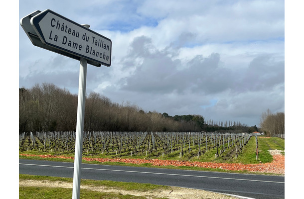 48歳、看護師を辞めてフランスへ。言葉も分からず、知り合いもない町で人生が動きはじめた「小さな習慣」とは【2025年度ベスト記事セレクション】