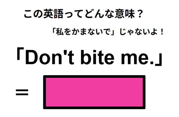 この英語ってどんな意味？「Don’t bite me.」