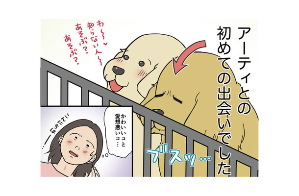 初めての出会いはブスっとした顔…愛想のない仔犬との共同生活の始まり…【おさんぽですし! おしゃべり犬とイライラ猫の日記 #1】