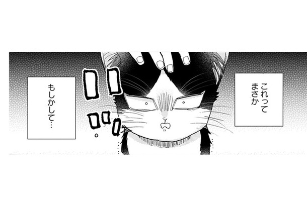 【猫視点】ごはんの言葉が聞こえた！ まだあるのかと思ったらない！だまされた～!!【同居人はひざ、時々、頭のうえ。 #31】