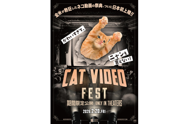 『CatVideoFest』