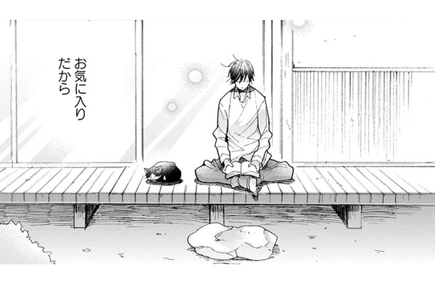 【猫視点】この場所は、いいおひるね場所もあるしごはんもくれるし、わりとお気に入りなんだからね【同居人はひざ、時々、頭のうえ。 #33】