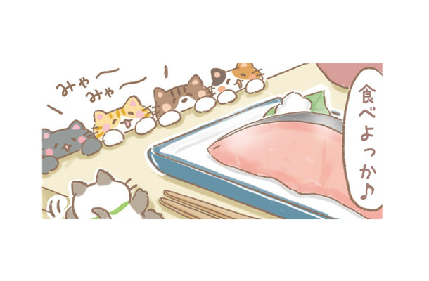 「食べよっか」自炊ご飯もこれからは猫ちゃんといっしょ。しかもメニューは好物の魚！【あなたとくらし隊！ちびっ福 #９】