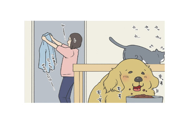 ごはんより安否確認？食事そっちのけで様子を見にくる愛犬がカワイイ【おさんぽですし！　おしゃべり犬とイライラ猫の日記 #10】