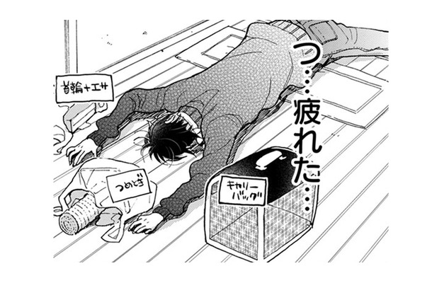 猫連れの知らない女性に話しかけられて、普通にしゃべれてる自分に驚き!え? 病院で検査!?【同居人はひざ、時々、頭のうえ。 #59】