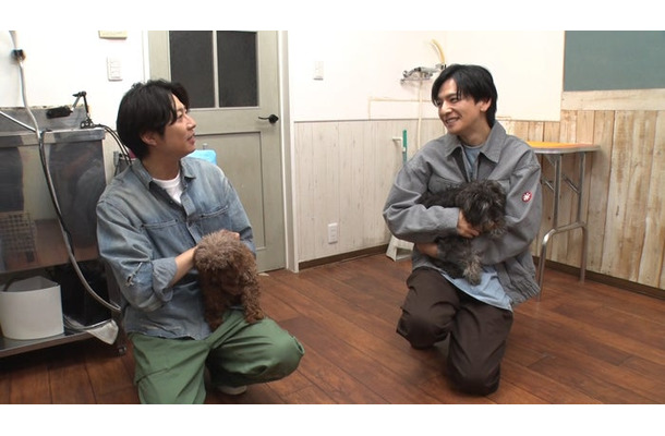 相葉雅紀、生田斗真(C)日本テレビ