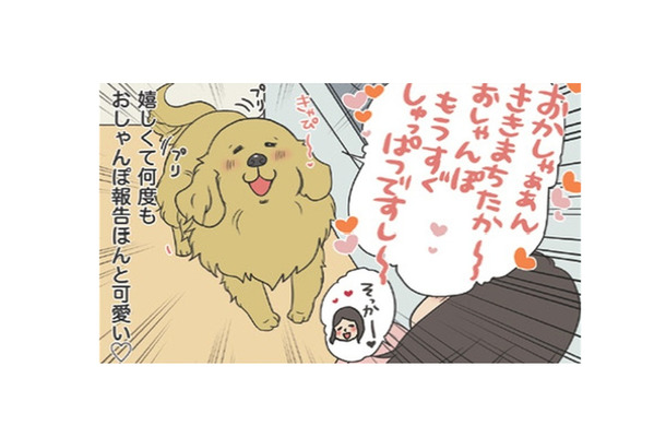 「お散歩行こうか」の声に大興奮…うれしくて何度も報告する愛犬の姿がかわいい【おさんぽですし！　おしゃべり犬とイライラ猫の日記 #17】