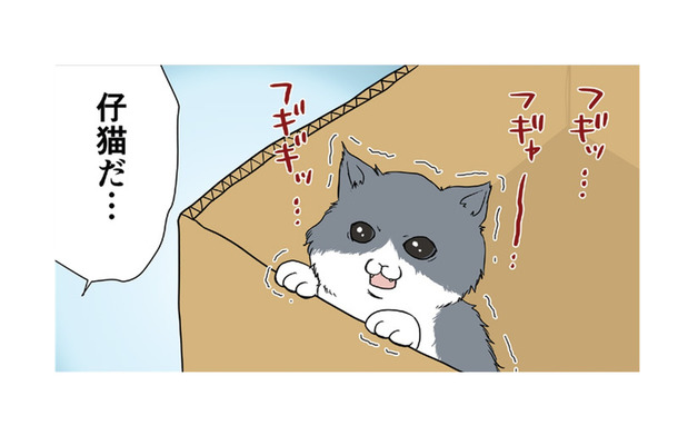 ダンボール箱の中で必死に鳴いてる仔猫を発見…こんな小さいのに誰が捨てたの？【おさんぽですし！　おしゃべり犬とイライラ猫の日記 #18】