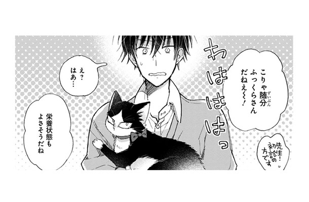 猫を病院で検査したら、太り気味と言われた！おやつなんてあげてないのになぜ…？【同居人はひざ、時々、頭のうえ。 #65】