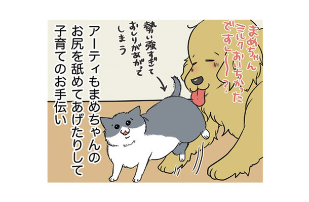わが家に加わった生後10日くらいの仔猫は女の子。愛犬もせっせと子育てのお手伝い【おさんぽですし！　おしゃべり犬とイライラ猫の日記 #19】